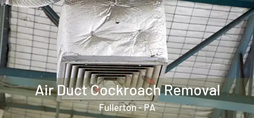 Air Duct Cockroach Removal Fullerton - PA