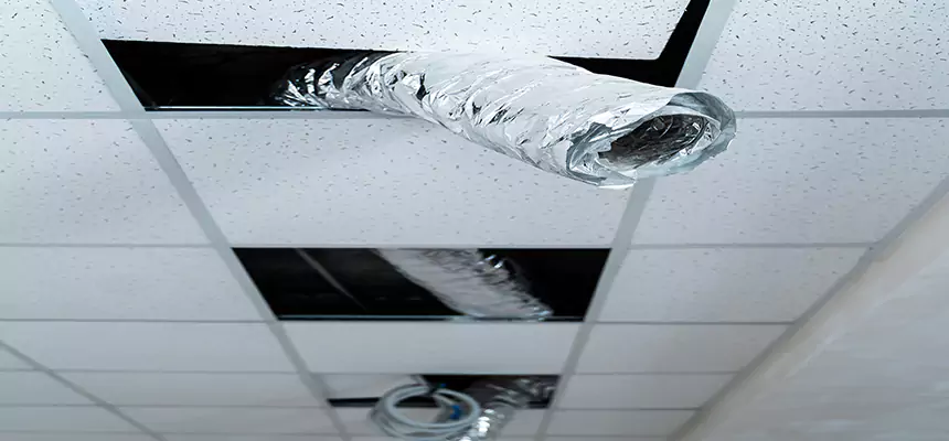 Our Air Duct Pet Hair Removal Services in Fullerton, PA