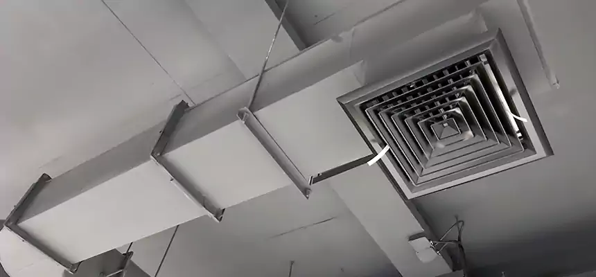 Our Pest Removal From Ducts Services in Fullerton, PA