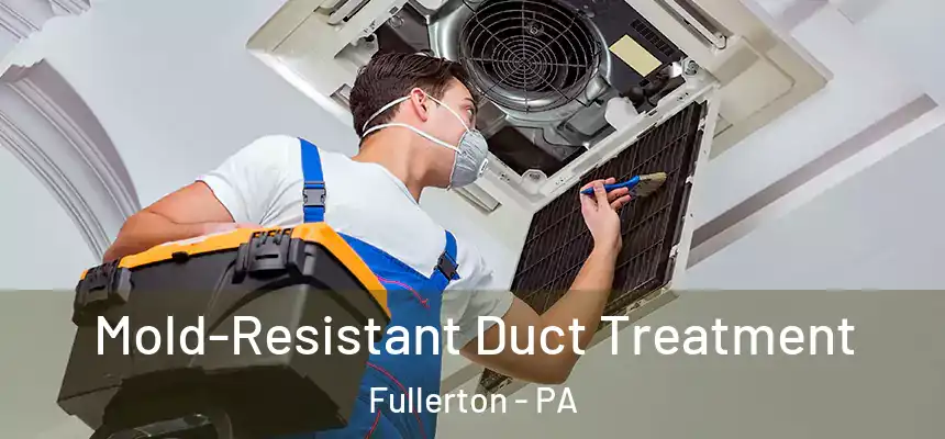  Mold-Resistant Duct Treatment Fullerton - PA