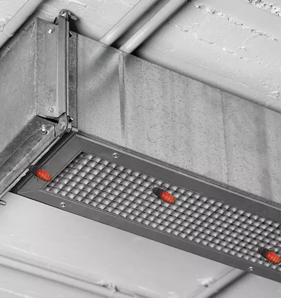 About Air Duct Cockroach Removal in Fullerton, PA