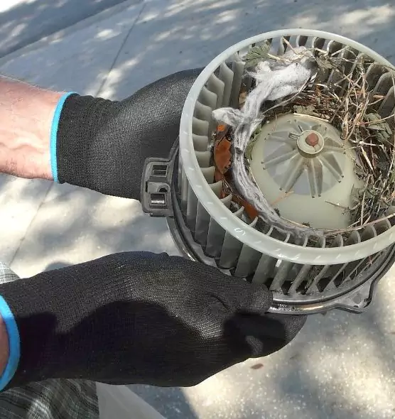 About Air Duct Mice Removal in Fullerton, PA